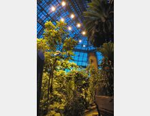 Großes Gewächshaus mit tropischen Pflanzen, einem Glasdach aus Stahlträgern und warmen Beleuchtungskörpern, die die üppige Vegetation und hohe Palmen akzentuieren. Der Himmel erscheint in der Dämmerung blau durch das Dach.