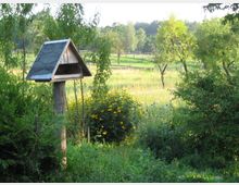 Eine ländliche Szene mit einer Holzvogelhauskonstruktion auf einem Pfosten im Vordergrund, umgeben von dichten grünen Büschen, Blumen und Bäumen. Im Hintergrund sind eine Wiese, vereinzelte Bäume und ein Holzzaun sichtbar.