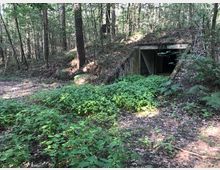 Ein bewaldeter Bereich mit einem halb versteckten, betonierten Bunkereingang, der in den Boden eingelassen ist. Der Eingang ist von dichten Pflanzen und Bäumen umgeben, die den überwucherten Waldboden bedecken.
