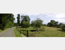 Parkanlage mit einem gepflasterten Weg, der von Bäumen und Wiesen gesäumt ist. Auf der linken Seite stehen Holzzaunpfähle entlang des Weges, während die rechte Seite eine offene Grünfläche mit vereinzelten Bäumen zeigt.