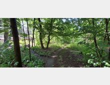 Ein bewaldeter Pfad mit dichtem Laubwerk und mehreren sich gabelnden Wegen. Im Hintergrund sind Strukturen wie Holzbauten zwischen den Bäumen erkennbar.