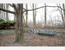 Ein kleiner Park mit kahlen Bäumen im Winter; im Vordergrund steht ein Baum und daneben eine grüne Parkbank. Im Hintergrund ist eine mit Graffiti besprühte Steinmauer und ein Zaun zu sehen.