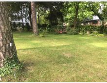 Eine grüne Gartenfläche mit vereinzelten hohen Bäumen und Büschen, im Hintergrund ein weißes Wohngebäude und ein Holzhaus. In der Gartenmitte steht eine Sitzbank mit einem roten Stuhl in einer von Pflanzen umgebenen Ecke.