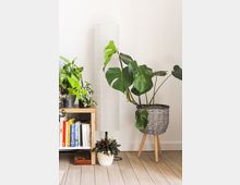 Ecke eines Wohnzimmers mit hellen Holzböden, einer weißen Papier-Stehlampe, mehreren Zimmerpflanzen (darunter Monstera und andere Topfpflanzen) und einem Holztisch mit Büchern und Dekorationen. Im Hintergrund eine weiße Wand.