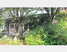 Ein kleines Gebäude mit einer von Pflanzen und Efeu bewachsenen Fassade, umgeben von dichten Sträuchern und Bäumen. Vor dem Gebäude ist eine bunt gerahmte Tür sowie mehrere Fenster sichtbar.