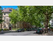 Wohnstraße mit großen, schattenspendenden Bäumen und parkenden Autos entlang beider Straßenseiten. Im Hintergrund sind beige Wohngebäude mit roten Dächern und symmetrischen Fenstern zu sehen.