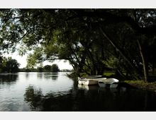 Flussufer mit ruhigem Wasser, umgeben von dicht bewachsenen Bäumen, die Schatten spenden. Am Ufer liegen mehrere kleine, weiße Boote im Wasser.