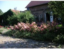 Ein gepflasterter Hof mit üppigen Beeten aus blühenden, rosafarbenen Rosen und Sträuchern vor einem Backsteinhaus mit roten Ziegeldächern. Das Haus hat weiße Türen mit Diamant-Dekor und ist teilweise von Kletterpflanzen umrankt.