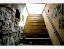 Beton-Außentreppe mit verwitterten Stufen, die aus einem dunklen, verfallenen Kellerbereich ins Tageslicht führt. Die Wände sind teilweise mit Graffiti bedeckt, und auf den Stufen sind Wörter in deutscher Sprache aufgemalt, darunter Streulicht von oben.
