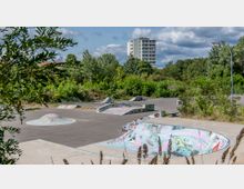 Ein Skatepark mit bemalten Rampen, Halfpipes und Hügeln auf einer asphaltierten Fläche, umgeben von dichten Bäumen und Sträuchern; im Hintergrund ist ein mehrstöckiges Wohngebäude zu sehen.