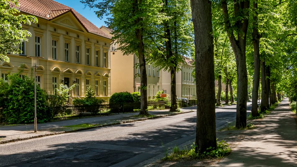 Von hohen Bäumen gesäumte Wohnstraße mit breitem Gehweg und wenig Verkehr, daneben mehrstöckige, hell verputzte Altbauten mit Satteldach und großen Fenstern. Ein Zaun und dichtes Grün begleiten den Weg entlang der Straße.