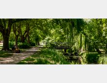 Schattiger Parkweg unter großen Laubbäumen, der entlang eines schmalen Kanals verläuft. Rechts überspannt eine kleine Holzbrücke mit Geländer das Wasser, daneben hängen die Zweige einer Weide über das Ufer.