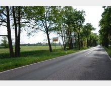 Landstraße mit Bäumen an beiden Straßenseiten, die eine Allee bilden, und weitläufigen Feldern im Hintergrund. Verkehrsschilder geben eine Geschwindigkeitsbegrenzung von 70 km/h und Hinweise auf Wildwechsel an.