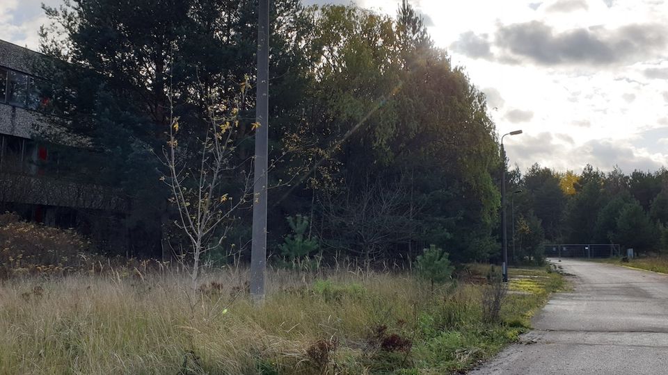 Ein abgelegener Weg mit Straßenlaternen führt entlang einer verwilderten Wiese und dichter Bäume; im Hintergrund ist ein Gebäude teilweise sichtbar, während der Himmel von Wolken und Sonnenlicht durchzogen ist.
