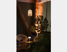 Gemütliche Lounge mit modernen, runden Rattansesseln und einem Holztisch, beleuchtet von einer Tischlampe und einer dekorativen Hängelampe. Im Hintergrund stehen große Pflanzen und Holzbalken vor einer dunkelgrünen Wand, die stimmungsvoll mit warmem Licht akzentuiert ist.