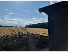 Blick auf ein weites Getreidefeld, im Hintergrund eine Baumreihe am Horizont unter einem teils bewölkten blauen Himmel. Im Vordergrund sind Äste an einem Holzzaun gestapelt, rechts ein dunkler Rand eines Holzgebäudes.