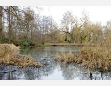 Ein kleiner Teich in einer parkähnlichen Landschaft, umgeben von kahlen Bäumen und Schilfgras; die Wasseroberfläche spiegelt die umliegenden Bäume wider. Im Hintergrund sind Weiden mit herabhängenden Ästen zu sehen.