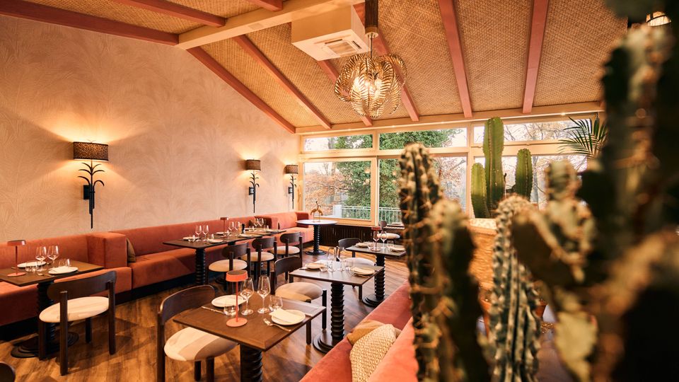 A warmly lit restaurant interior featuring pink cushioned banquette seating along the walls, small wooden tables set with plates and glasses, and a woven ceiling with exposed beams. Large windows allow natural light and provide views of trees, while potted cacti and plants add a tropical decor element.