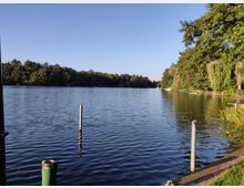 Blick auf einen breiten Fluss oder See mit ruhiger Wasseroberfläche, umgeben von dicht bewaldeten Ufern. Rechts im Bild sind ein Steg und Uferpflanzen zu sehen, daneben stehen mehrere Metallpfosten im Wasser.