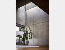 Eine moderne Innenraumaufnahme mit Sichtbetonwänden, einem großen Oberlicht, das natürliches Licht hereinlässt, und einer Zimmerpflanze in einem weißen Topf vor einem bodentiefen Fenster. Ein Holzboden und eine Holzdecke ergänzen die minimalistische Ästhetik.