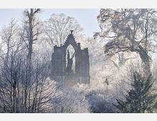 Gotisches Denkmal in einem winterlichen Park mit Raureif bedeckten Bäumen. Die Struktur besteht aus spitz zulaufenden Bögen und einer Statue in der Mitte, umgeben von dichtem, frostigem Bewuchs.
