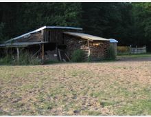 Eine einfache Holzscheune mit Wellblechdach steht am Rand eines grasbewachsenen und teils sandigen Feldes. Neben der Scheune sind gestapelte Holzscheite sowie dichtes Waldgebiet im Hintergrund sichtbar.