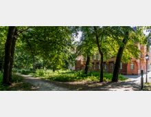 Ein parkähnlicher Weg mit hohen Bäumen und dichter Vegetation im Vordergrund, neben einem historischen Backsteingebäude mit hellgelben Elementen und zahlreichen Fenstern. Rechts steht eine Laterne, und die Szenerie ist in teilweise sonnigem Licht.