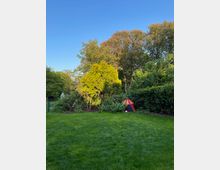 Grüne Gartenlandschaft mit frisch gemähter Rasenfläche, umgeben von blühenden Bäumen und Büschen. Rechts im Hintergrund befindet sich ein kleines, buntes Kinderspielzelt neben einer Hecke.