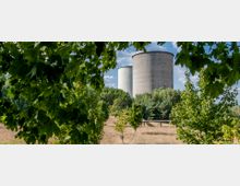Zwei große, zylindrische Kühltürme aus Beton, umgeben von dichten Bäumen und niedriger Vegetation, sind durch eine Lücke in blättrigem Grün im Vordergrund sichtbar. Der Himmel ist teils bewölkt, und die Umgebung wirkt ländlich.