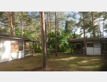 Zwei einfache Ferienhäuser mit flachen Ziegeldächern in einem von Kiefern und anderen Bäumen umgebenen Waldgebiet. Der Boden ist teilweise mit Gras bewachsen, und zwischen den Gebäuden stehen mehrere Bäume.