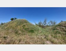 Hügelige Landschaft mit trockenen Gräsern und vereinzeltem Buschwerk, im Hintergrund ein klarer blauer Himmel. Einzelne Bäume und Sträucher stehen auf und neben den Hügeln.