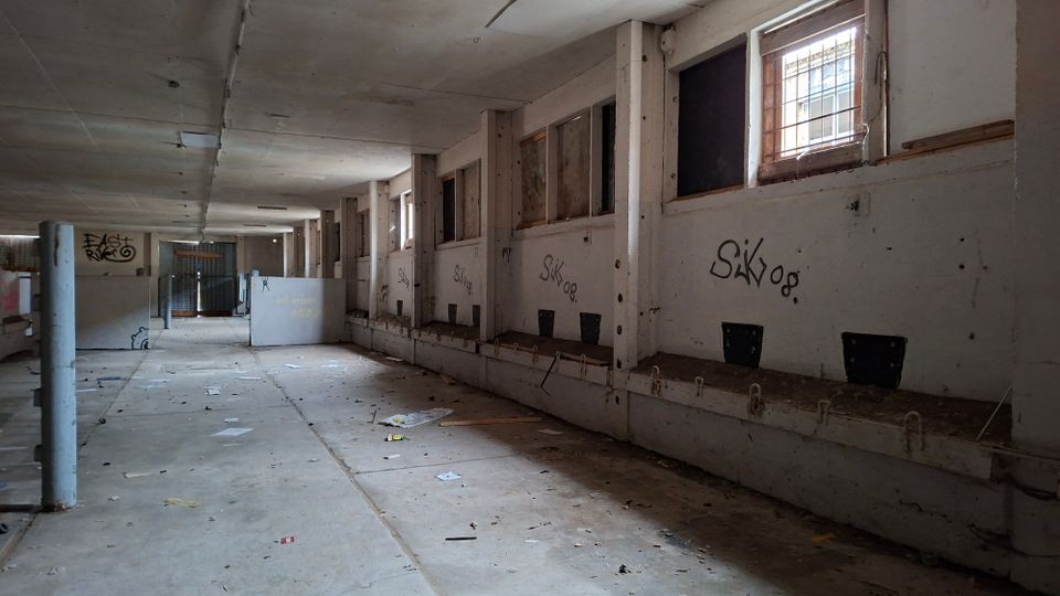 Langer, verlassener Innenraum in einem Betongebäude mit niedriger Decke, Stützpfeilern und einer Reihe kleiner, vergitterter Fenster entlang der rechten Wand. Die Wände sind mit Graffiti beschmiert, der Boden ist staubig und mit Schutt bedeckt, am Ende des Gangs sind Gittertüren und abgetrennte Bereiche zu sehen.