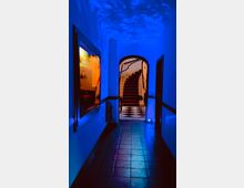 Ein schmaler Flur mit blauen Lichteffekten, gefliestem Boden und seitlichen Türen führt zu einer geschwungenen Treppe mit schwarz-weißem Schachbrettmuster im Eingangsbereich. Links ist ein beleuchteter Raum durch ein Fenster sichtbar.