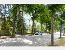 Baumbestandene Kopfsteinpflasterstraße in einem Wohngebiet mit einzelnen geparkten Autos und sichtbaren Zäunen sowie Häusern hinter den Bäumen. Ein Straßenschild mit einem „P“-Symbol für Parken steht am rechten Straßenrand.