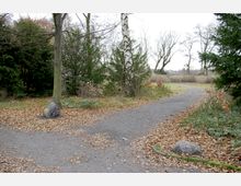 Ein herbstlicher Parkweg, gesäumt von Laubbäumen, Sträuchern und immergrünen Pflanzen. Der Boden ist mit gefallenen Blättern bedeckt, und am Wegesrand liegen einzelne Steine.
