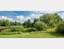 Weitläufiger Park mit grünem Rasen, dichten Büschen und hohen Bäumen, neben einem kleinen Teich. Im Hintergrund entspannen Menschen auf einer Wiese; darüber ein blauer Himmel mit weißen Wolken.