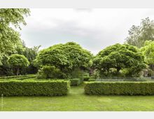Gepflegter Garten mit symmetrisch geschnittenen Hecken und mehreren großen, dicht belaubten Bäumen in einer parkähnlichen Umgebung. Im Hintergrund sind weitere Pflanzen, Büsche und ein Gebäudeteil erkennbar.