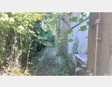 Schmaler, überwucherter Gehweg zwischen einer Hauswand aus hellbraunem Putz mit Fenstern und einem mit Pflanzen bewachsenen Drahtzaun; im Hintergrund sind Bäume sichtbar.