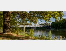 Brücke mit geschwungenem Stahlbogen über einen Fluss, umgeben von dichtem Grün und Bäumen; im Vordergrund eine Wiese mit einem großen Baum.