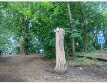 Waldweg mit dichtem, grünem Laubwald, einem Baumstumpf im Vordergrund und einem Wegweiser auf der rechten Seite. Im Hintergrund sind Spaziergänger auf einem Pfad sichtbar.