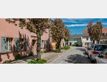 Gepflasterte Straße in einer Wohngegend mit blühenden Bäumen, vorbei an Häusern mit pastellfarbenen Fassaden und Fensterläden. Vor den Häusern sind geparkte Autos zu sehen, und der Himmel ist klar und blau.