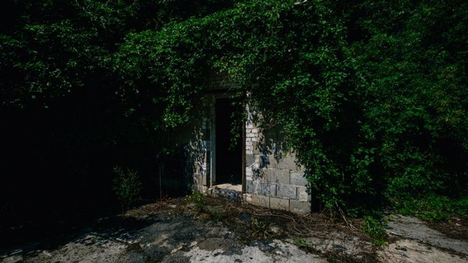 Eine alte, überwucherte Steinruine mit dichtem Grün, das die Wände und den Türrahmen bedeckt. Der Boden davor ist von unebenem Beton und vereinzelter Vegetation geprägt, umgeben von Schatten.