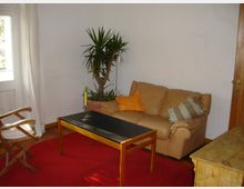 Wohnzimmer mit heller Leder-Couch, roten Teppichboden und einem niedrigen Holztisch mit schwarzer Oberfläche. Im Hintergrund befindet sich ein großer Topf mit einer Zimmerpflanze und ein Fenster mit weißen Vorhängen, rechts steht eine Holztür.