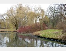 Ein Park im Herbst mit einer ruhigen Wasserfläche im Vordergrund, umgeben von kahlen Bäumen, hängenden Weiden und rötlichen Sträuchern. Der Boden ist teils mit Gras und teils mit Laub bedeckt.