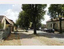 Straßenszene in einem Wohngebiet mit Bäumen entlang des Gehwegs, geparkten Autos und Häusern im Hintergrund, darunter ein Gebäude mit einer überdachten Veranda. Der Gehweg besteht teilweise aus Pflastersteinen, und es liegen vereinzelte große Steine am Wegesrand.