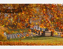 Ein Park im Herbst mit roten und gelb leuchtenden Blättern im Vordergrund, einer Treppe aus Stein in der Mitte und einer Reihe weißer Statuen auf Podesten im Hintergrund. Die Szene wird von weichem Sonnenlicht beleuchtet.