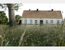 Weißes, einstöckiges Landhaus mit roten Ziegeln und mehreren Fenstern, umgeben von hohem Gras und Bäumen im Hintergrund. Ein großer Baum steht links im Vordergrund, und das Gebäude zeigt Anzeichen von Verwitterung.