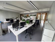 Ein modernes, helles Büro mit mehreren weißen Schreibtischen, schwarzen Bürostühlen und Computermonitoren, eingerichtet in einem offenen Grundriss. Pflanzen und Regale dienen als Trennwände, die grauen Wände und der glatte Boden sorgen für ein minimalistisches Design.