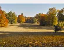 Weitläufige Parklandschaft im Herbst mit gelbem, braunem und orangefarbenem Laub auf dem Boden sowie bunten Bäumen im Hintergrund. Der sonnige Himmel und die Schatten der Bäume betonen die offene Rasenfläche.