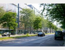 Städtische Straße mit breiter Fahrbahn, flankiert von modernen mehrstöckigen Gebäuden mit großen Glasfassaden und Grünstreifen mit Bäumen. Auf der Straße fahren Autos, und links befindet sich ein Gehweg mit Schaufenstern und parkenden Fahrzeugen.